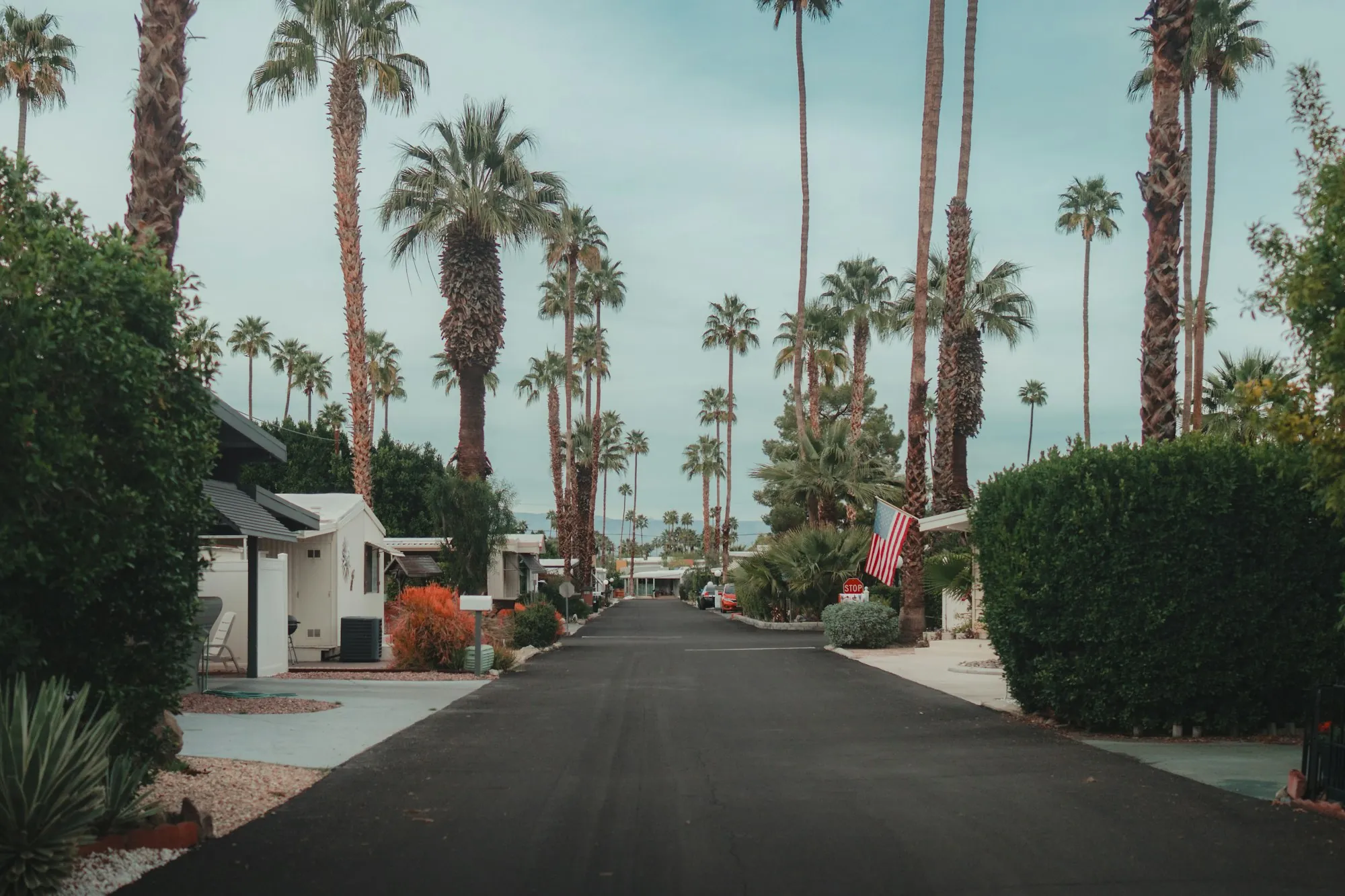 A street lined with palm trees and low houses